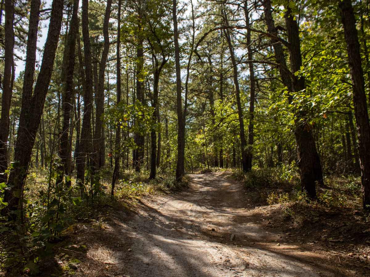 Little Mill Road trail photo