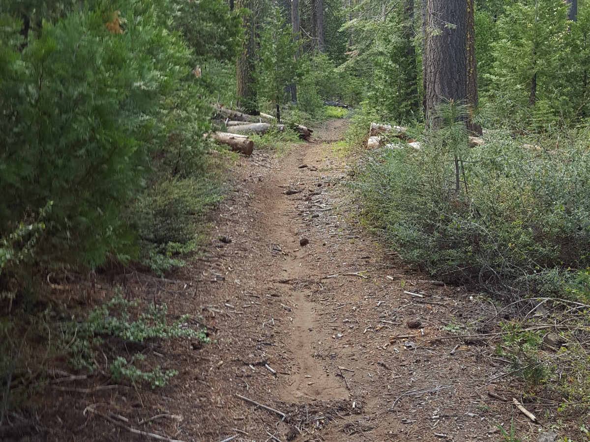 Browns Trail - FS 23E285 photo 3