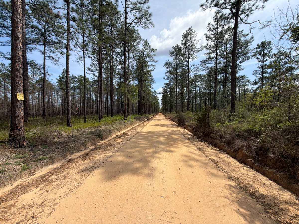 Eadie Cotton Road photo 3