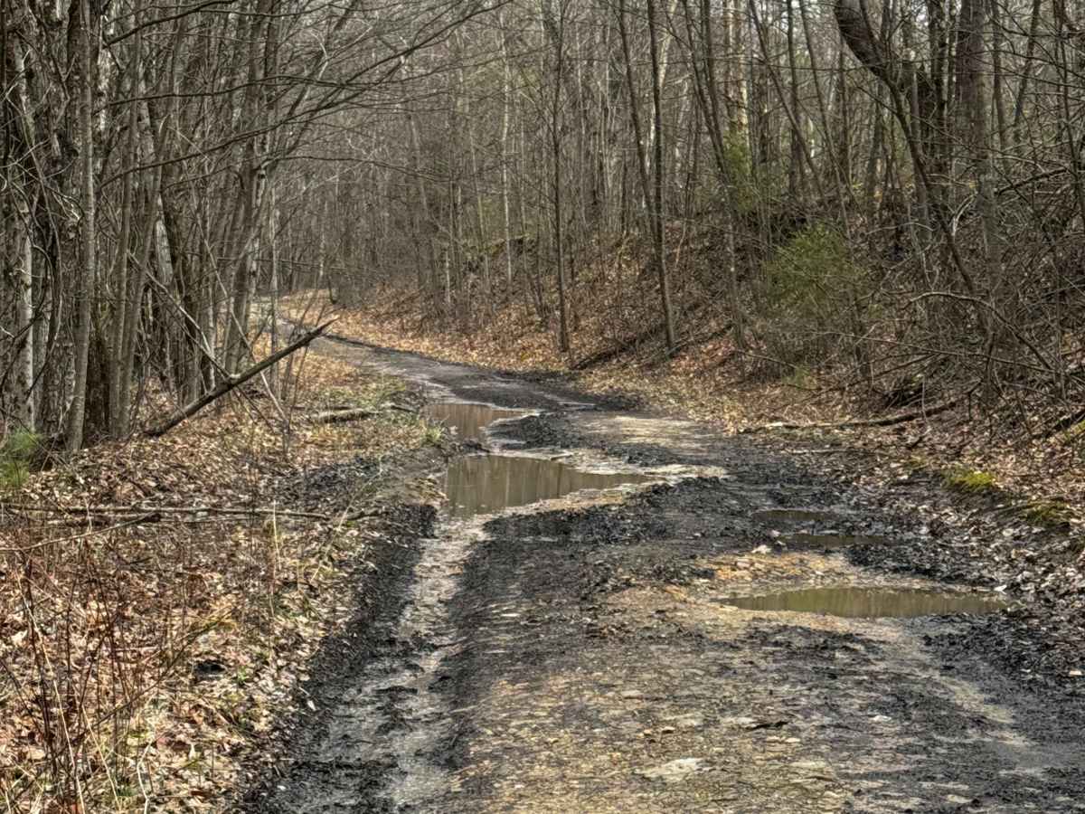 Hog Back Mountain Trail photo 3