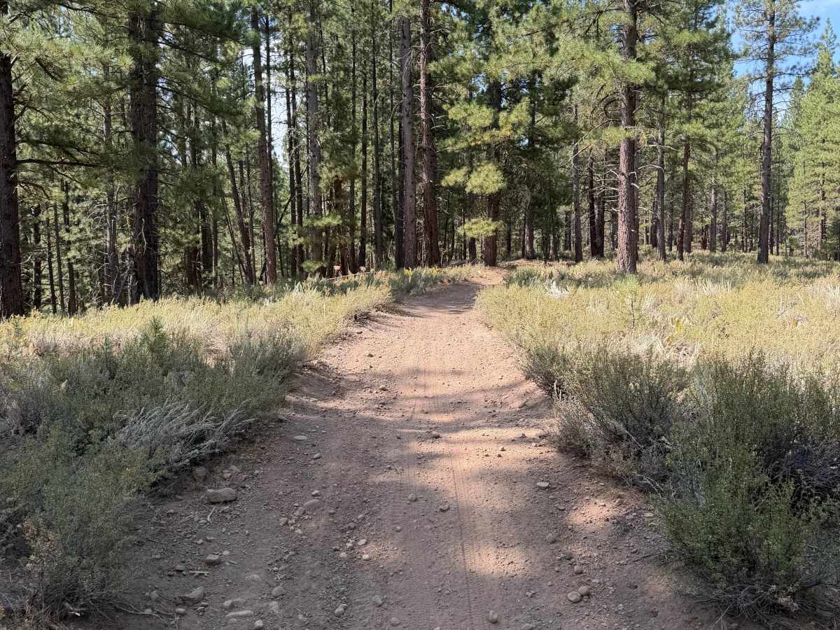 17E20 trail photo