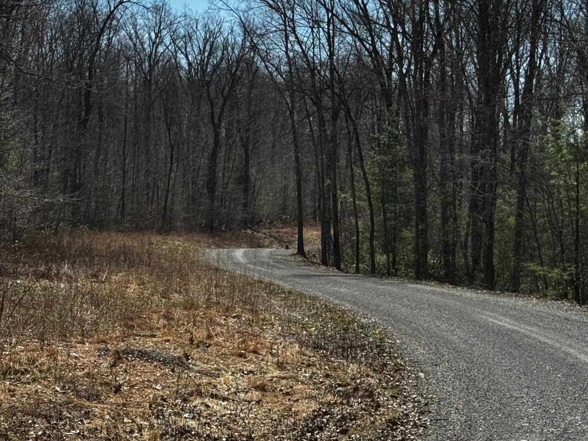 Marsh Creek Trail photo 4