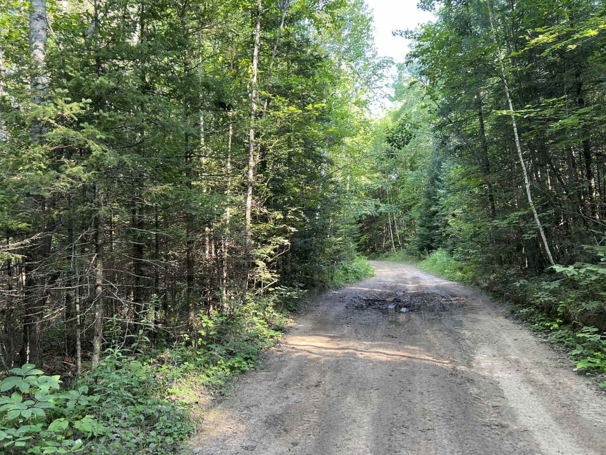 Carney Lake Road photo 3