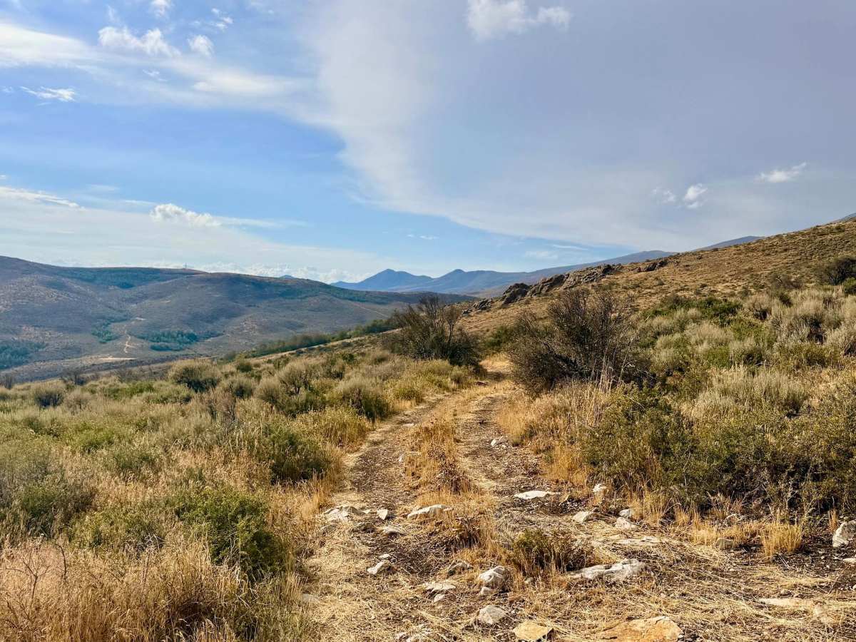 Horse Loop - FS 17911A trail photo
