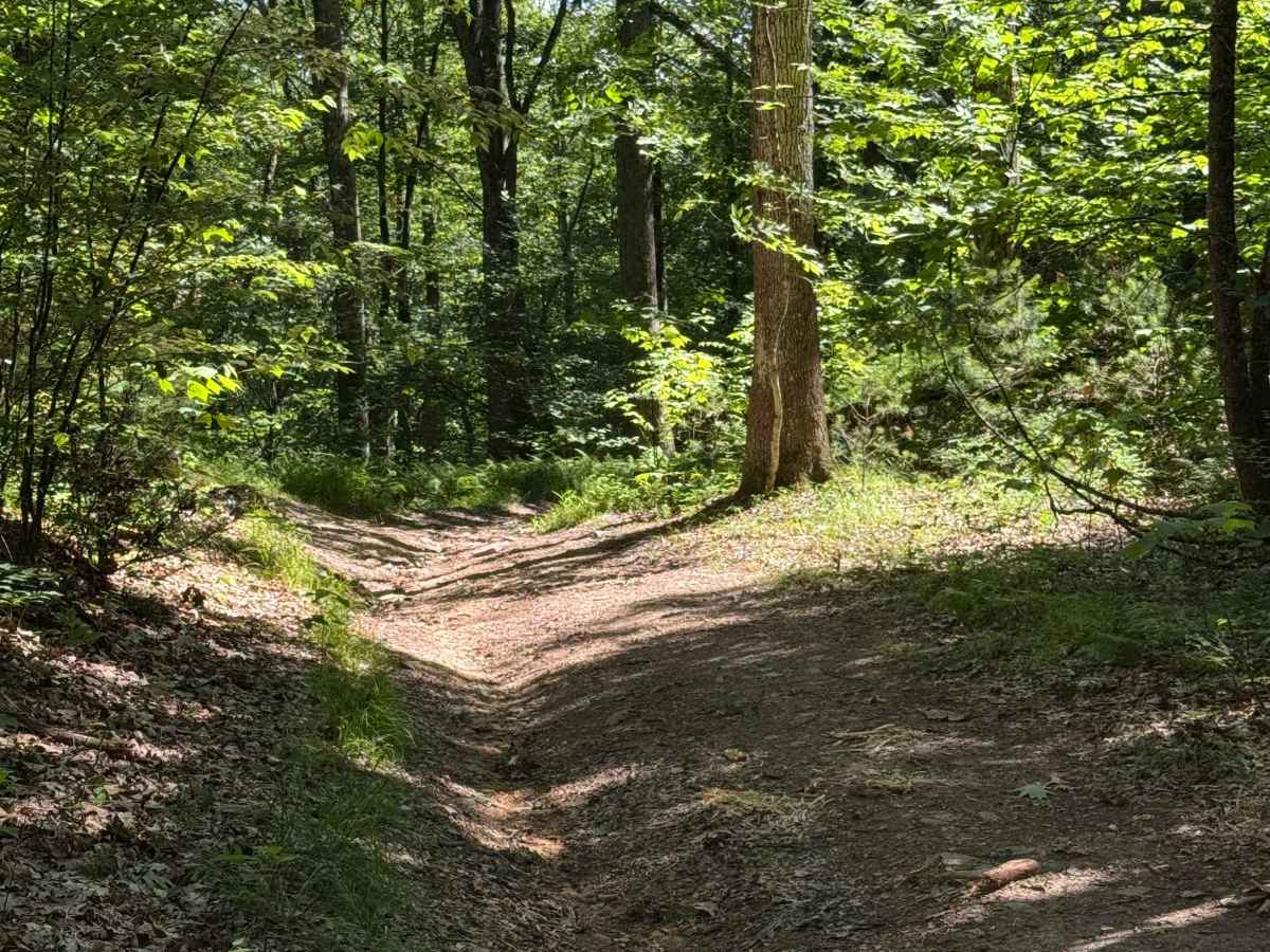 Turkey Leg Loop photo 3