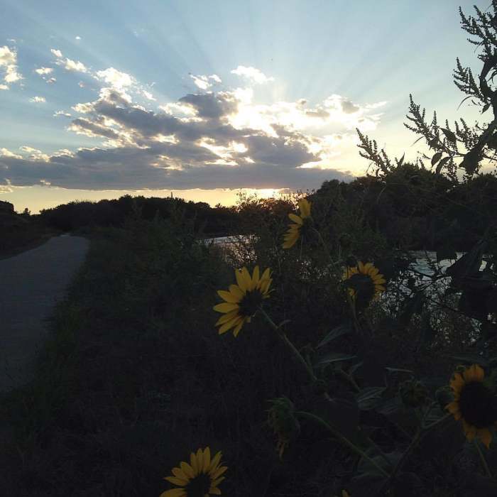 Near Arkansas River Trail