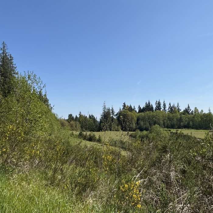 Near Pipeline Trail