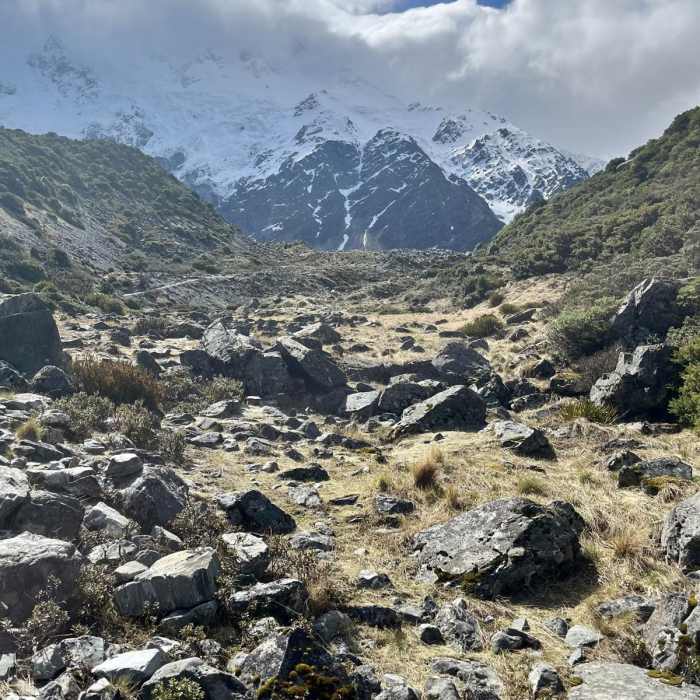 Near Kea Point Track Near Kea Point Track