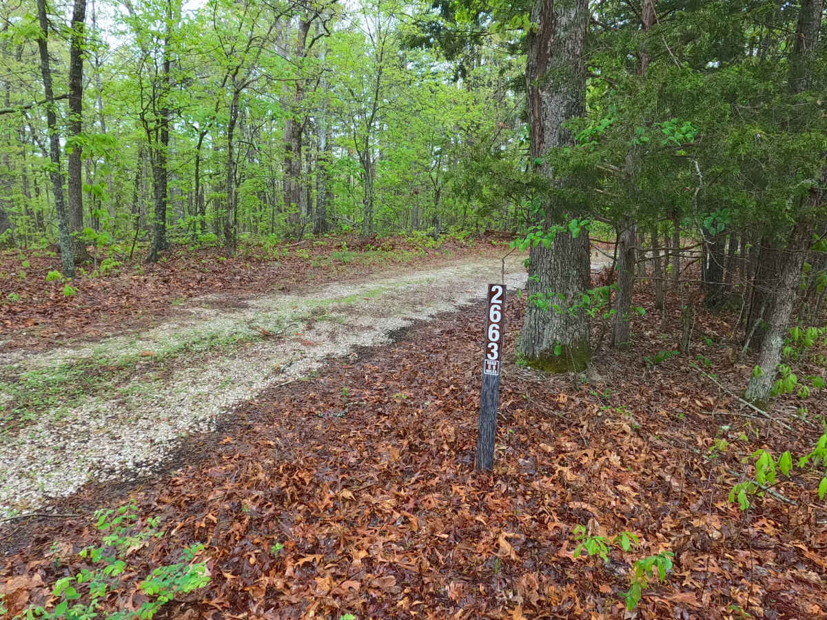 Rocky Top - FS 2663 trail photo