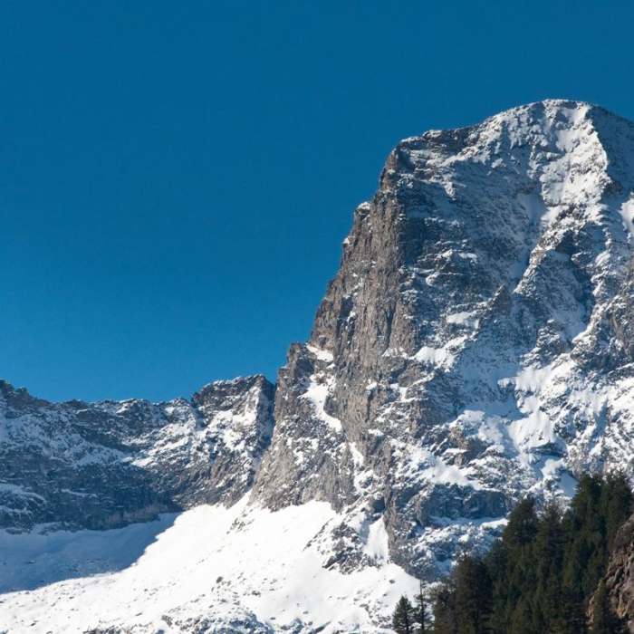 Near Fall Creek Falls