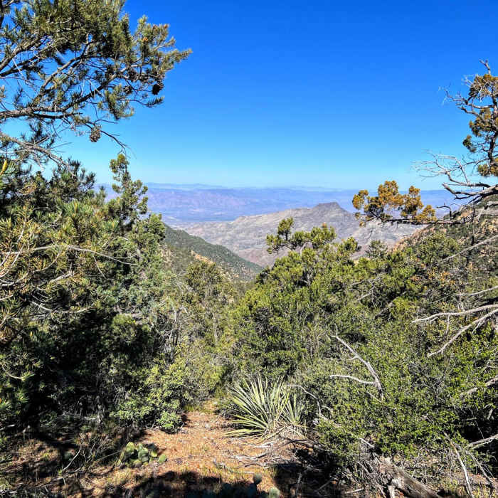 Near Arizona Trail Passage 23: Mazatzal Divide Near Arizona Trail Passage 23: Mazatzal Divide