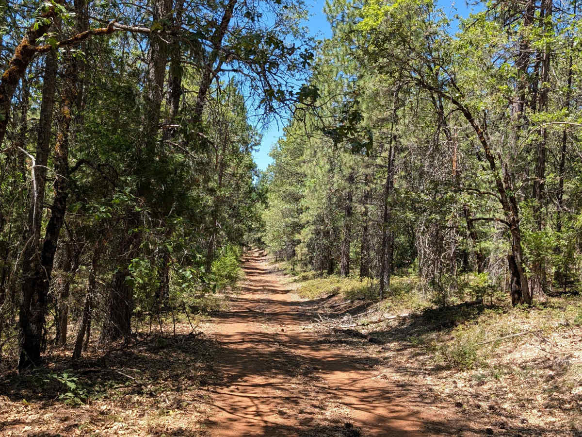 Pit River Rim - FS 36N20 photo 5