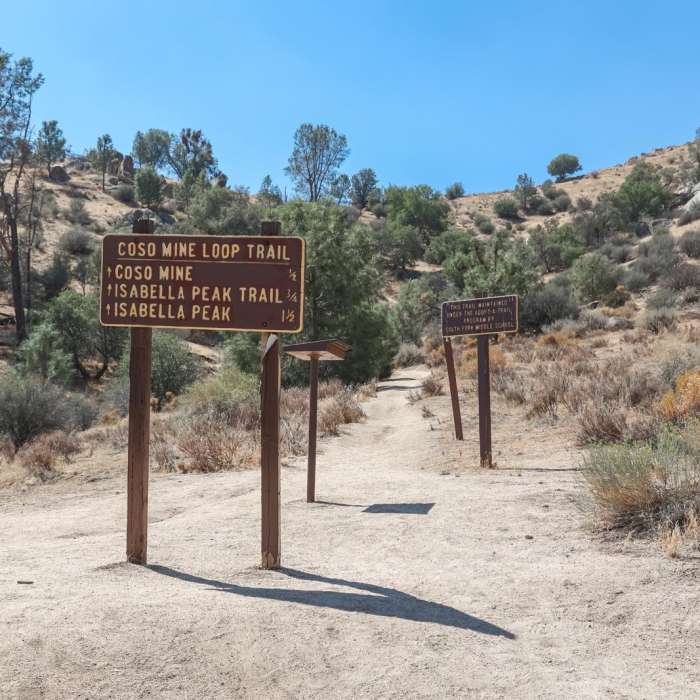 Near Isabella Peak Out-and-Back