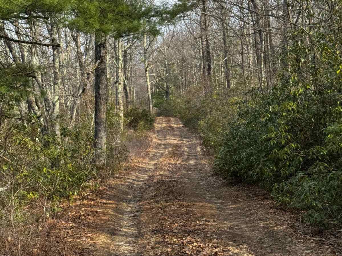 Caldwell Ridge photo 4