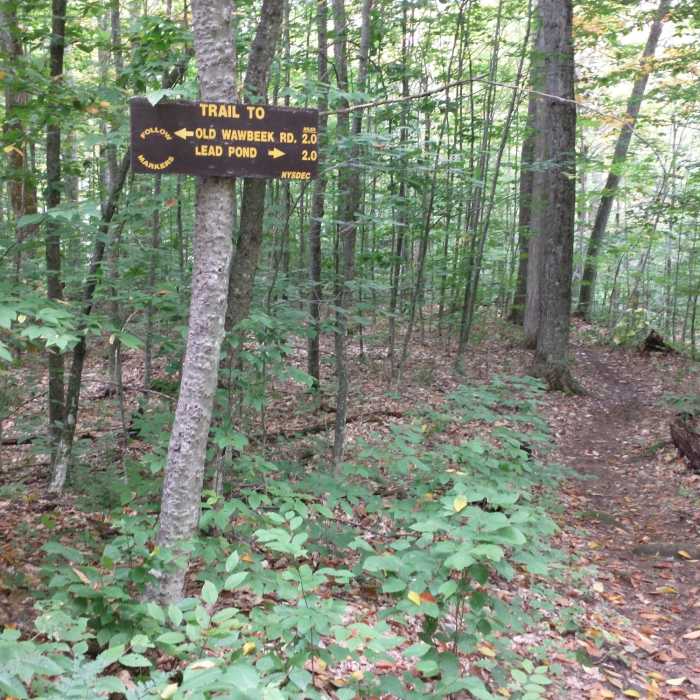 Near Deer Pond Out-and-Back