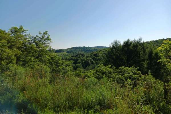 Trail 12X - Rock Run Recreation Area