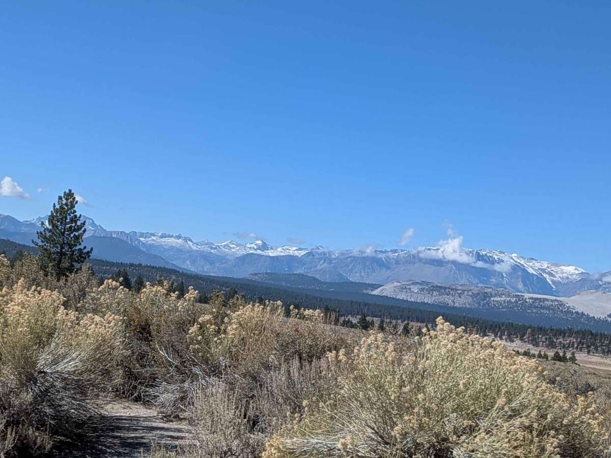 Sage Hen Meadows Road photo 4