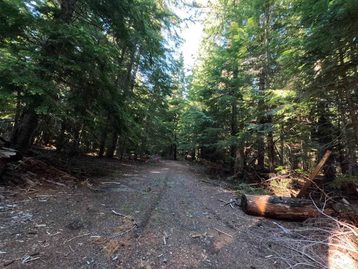 Klingers Camp Road - FS 3530240 trail photo
