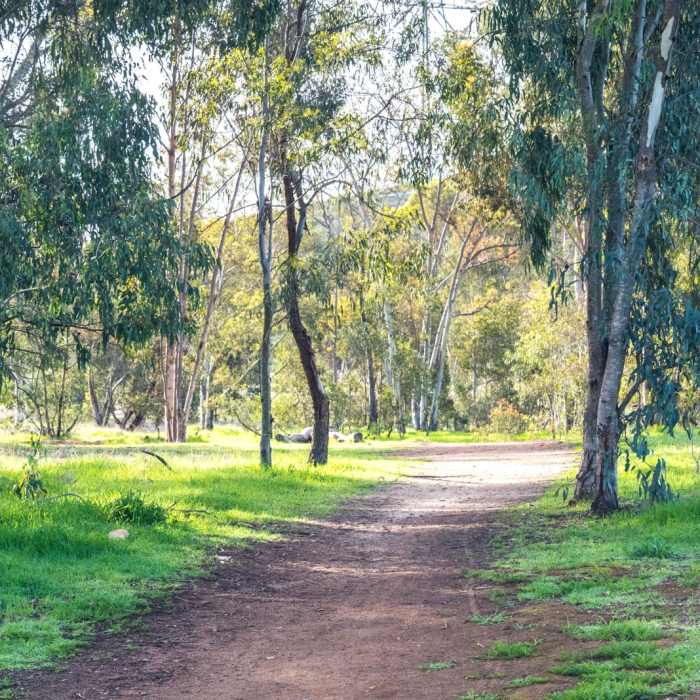 Near Copper Creek Trail via Whiptail Trail