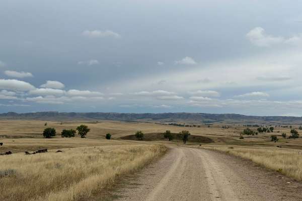 Orella Road