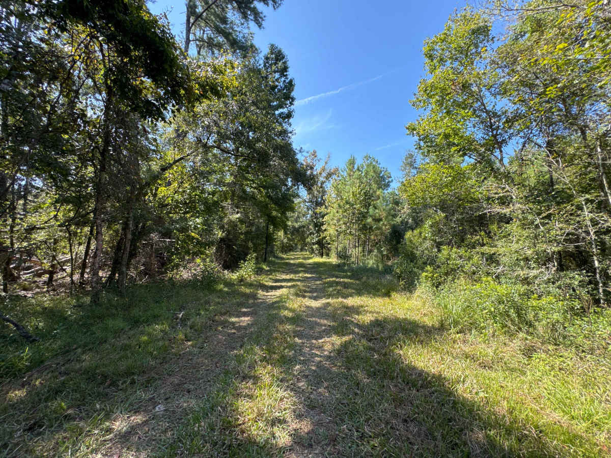 Rattlesnake Road photo 6