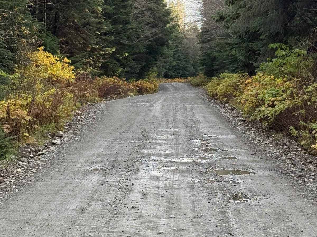 West Kalum Forest Service Road photo 2