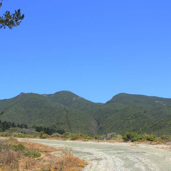 Near Old Pedro Mountain Road