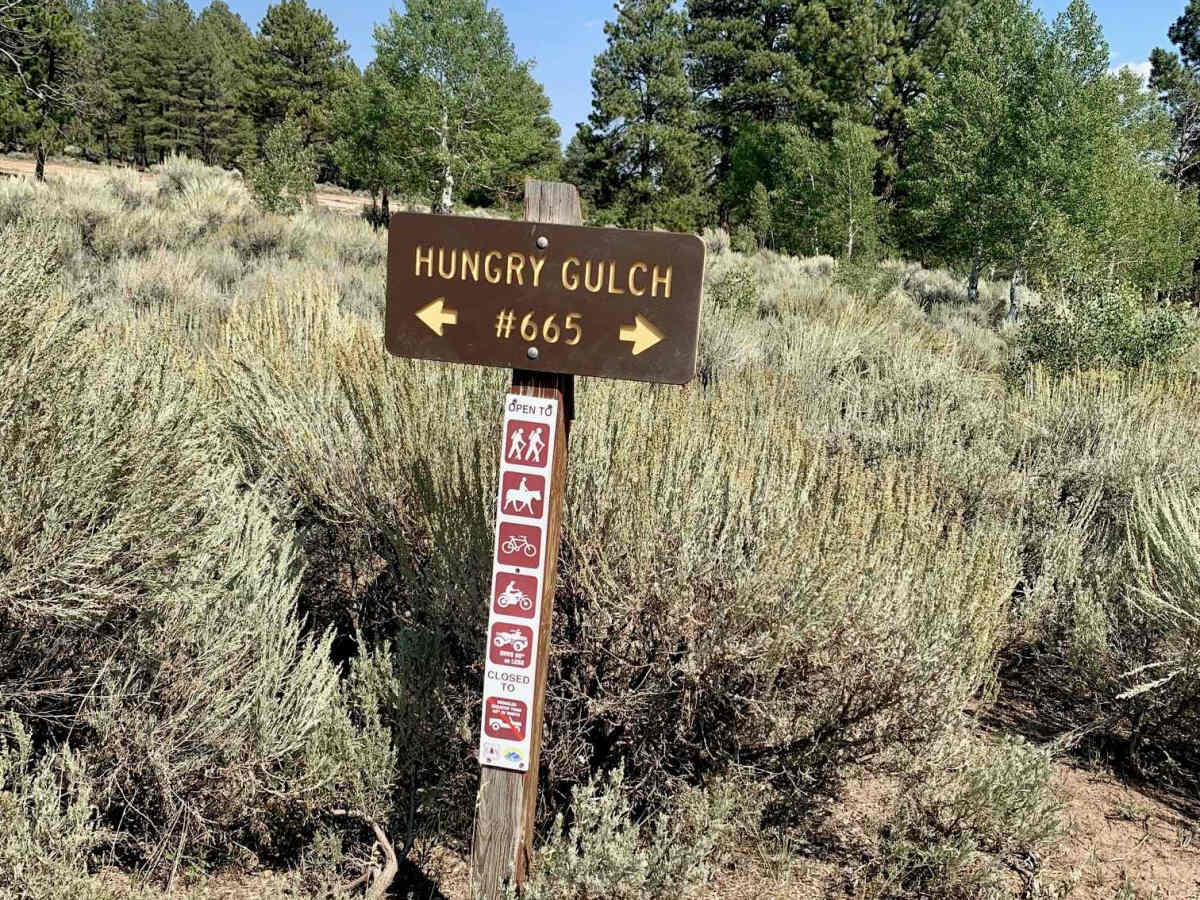 Gill Creek Loop 50" photo 4