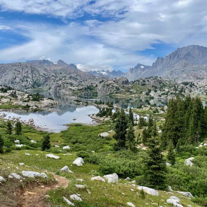 Near Continental Divide Trail: Knapsack Col Alternate