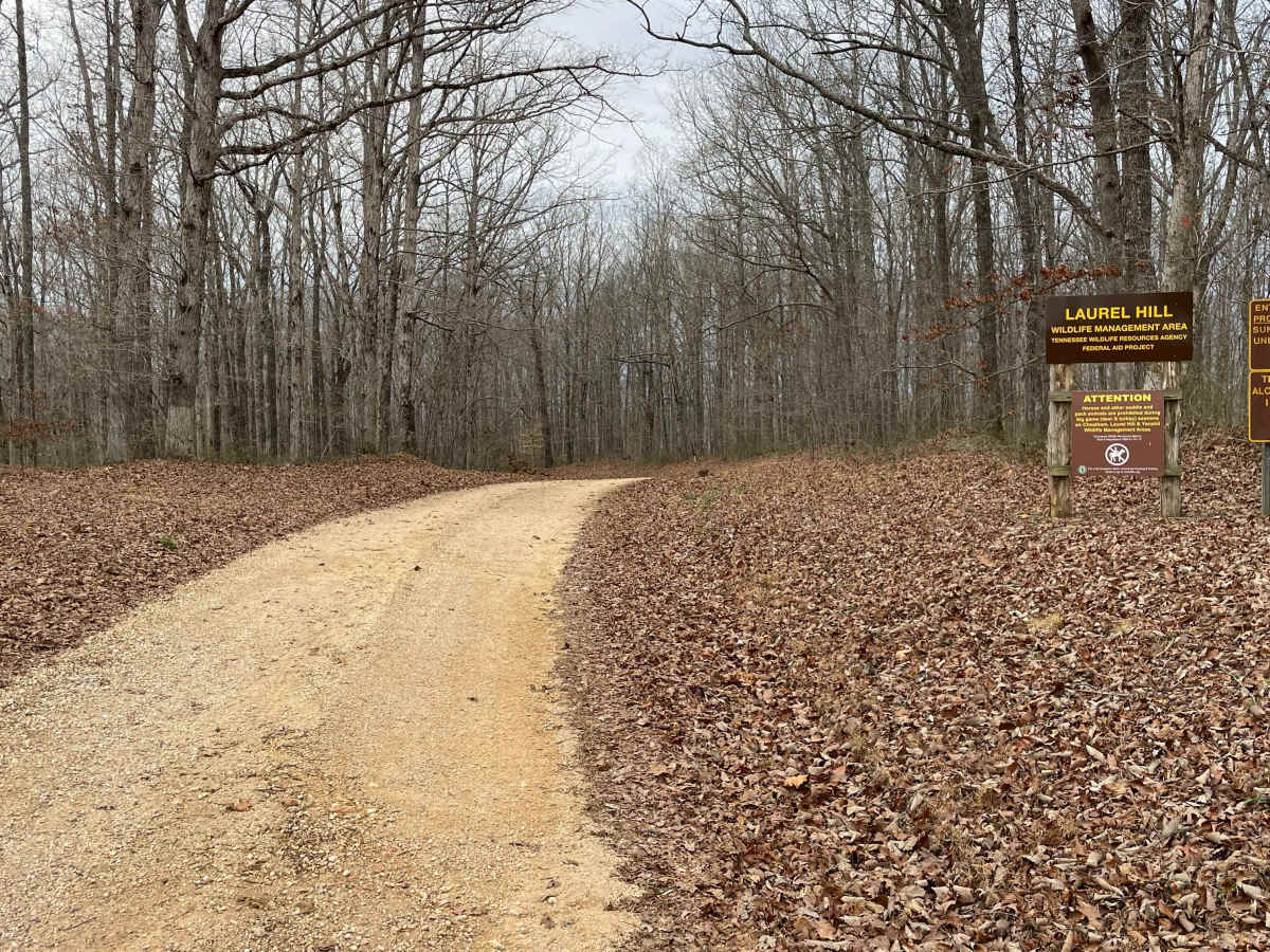 Finnie Road trail photo