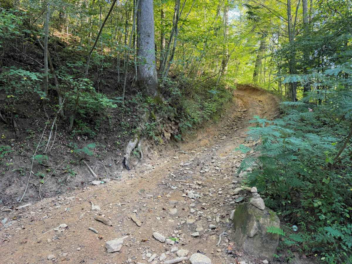 Ivydell Trail photo 6
