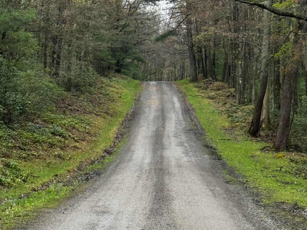 Kelly Cellar Road photo 4