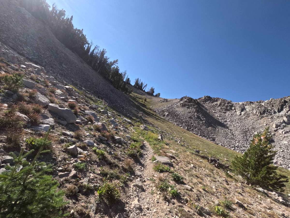 South Fork Ross Fork - FS 7227 trail photo