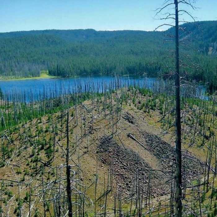 Near Mallard Creek Trail