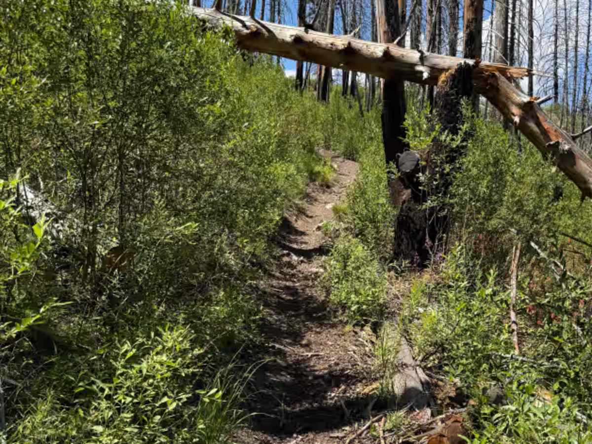 Gardner Gulch photo 3