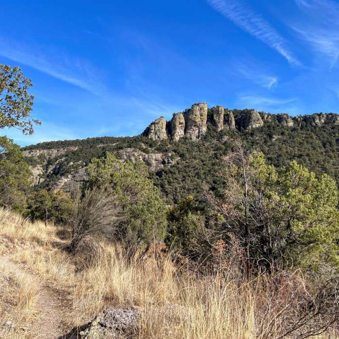 Near Gardner Canyon to Madera Canyon