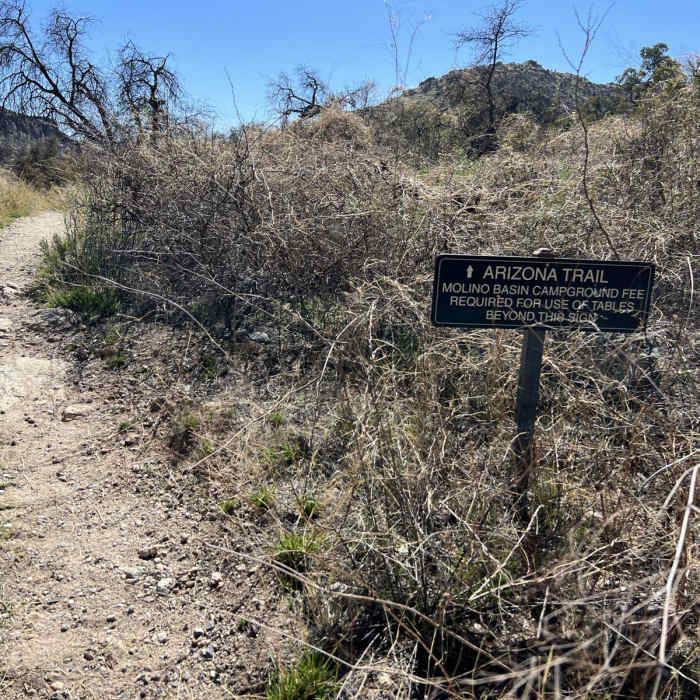Near Molino Basin Trail #11
