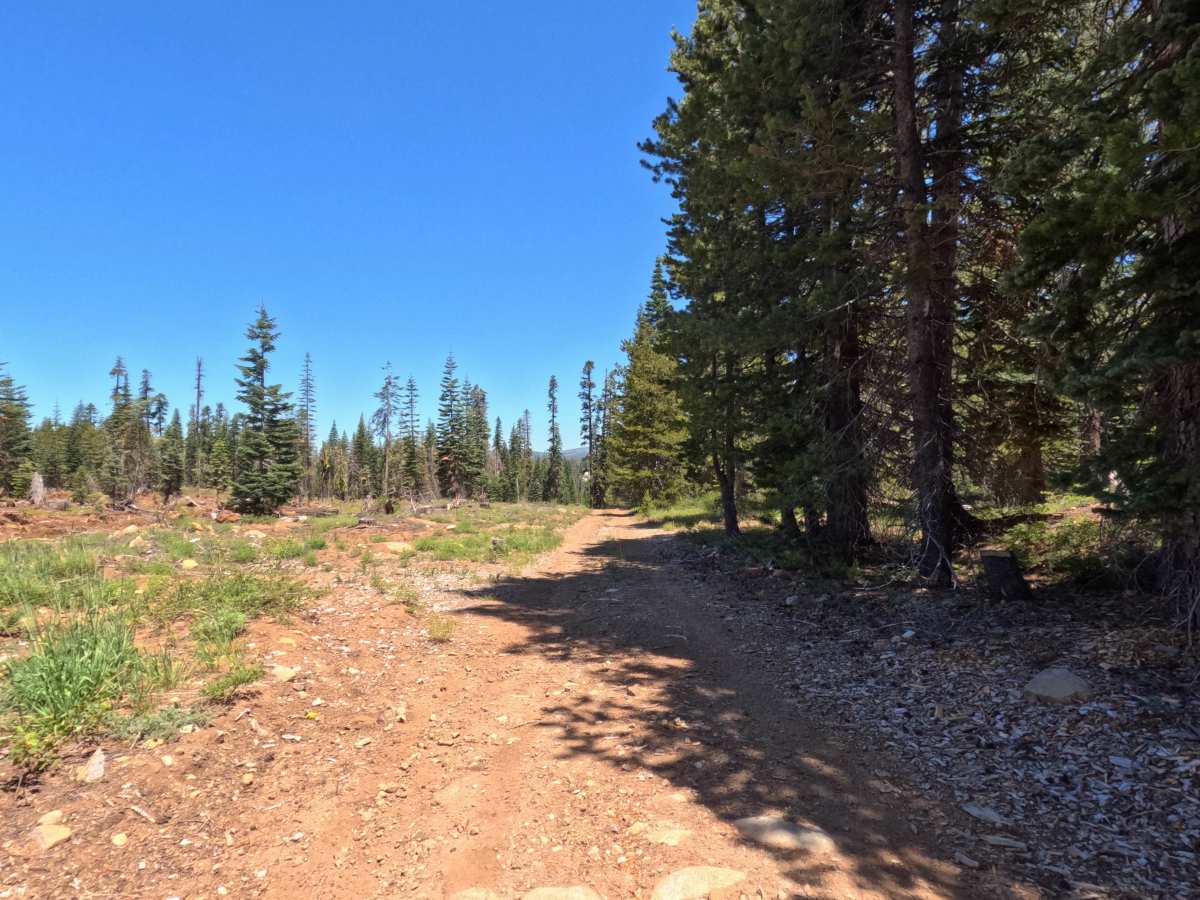 Peavine Corridor - FS 11N99A photo 3