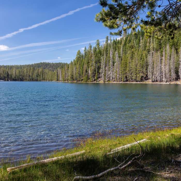 Near Lassen Lakes Loop