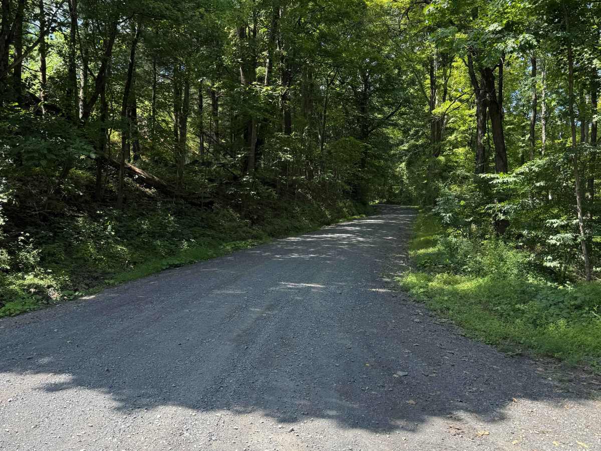 Quarry Road  photo 4