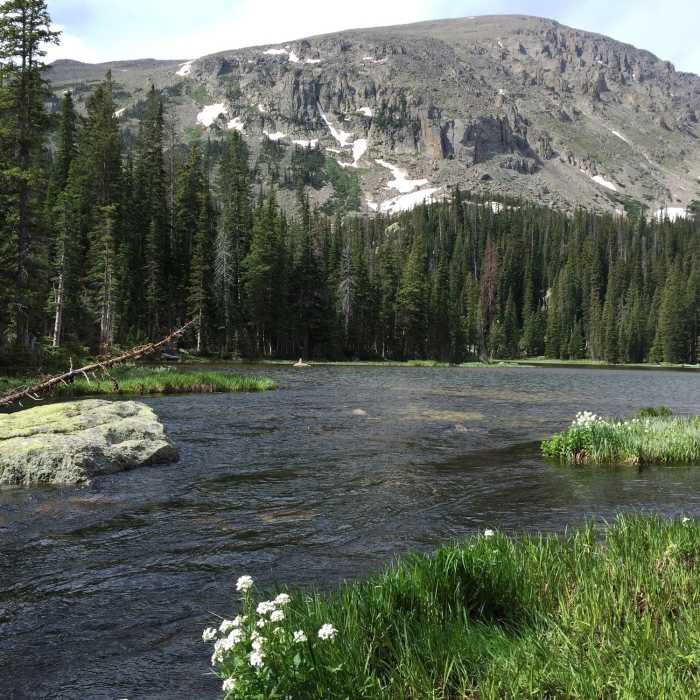 Near Ouzel Lake Trail