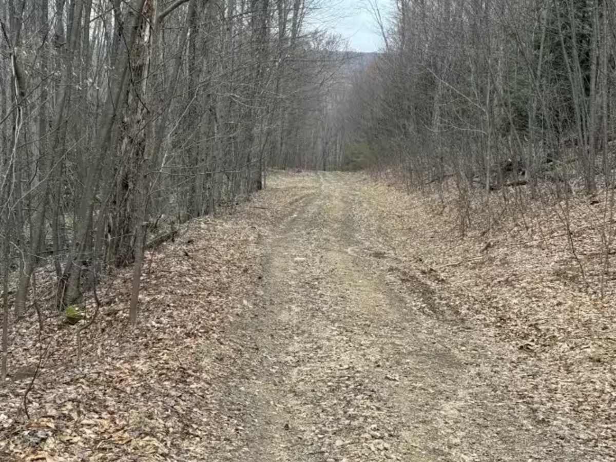 Colby Run - FS 02338 photo 3