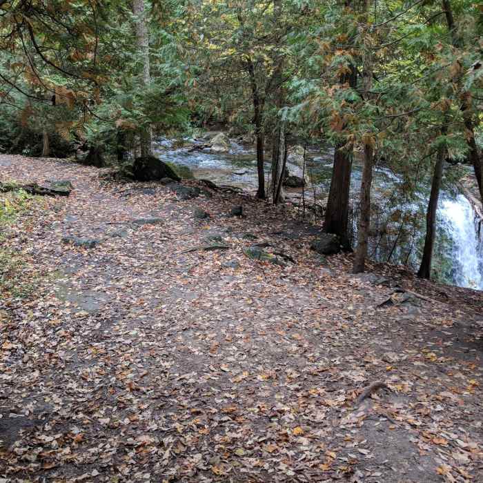 Trail beside Hogg's Falls Near Hogg's Falls Loop