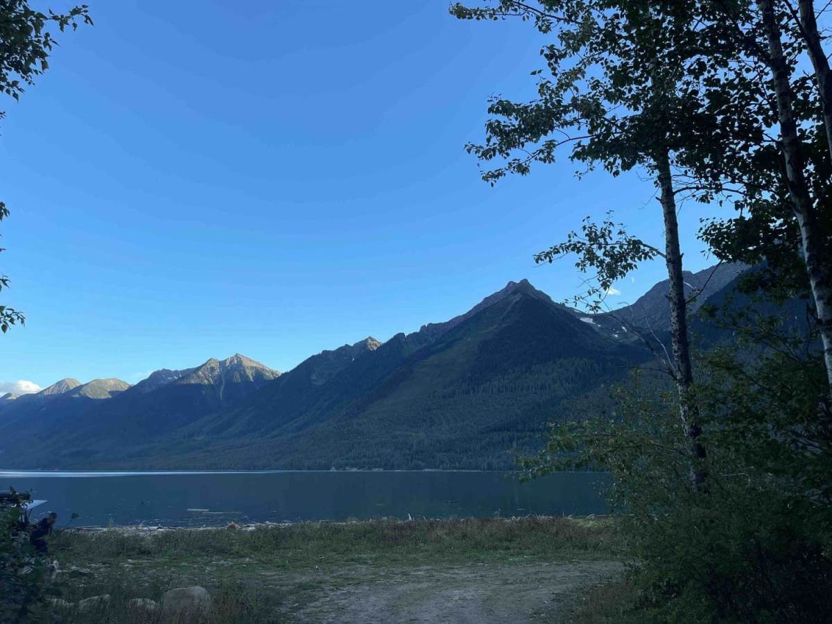 Canoe River Road to Kinbasket Lake photo 3