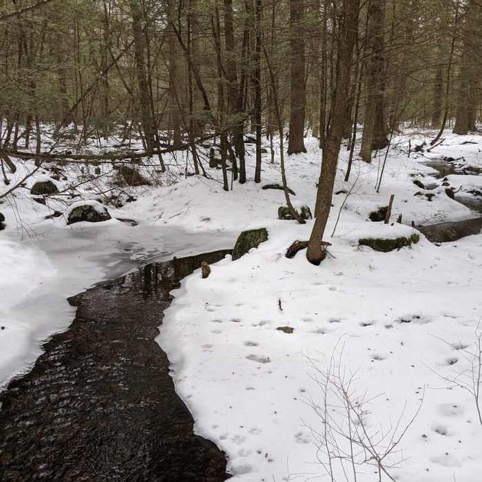 From a footbridge Near Trout Brook Conservation Area Loop