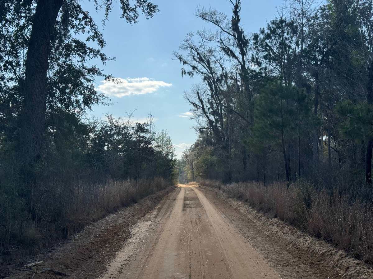 Ten Mile Still Road photo 6