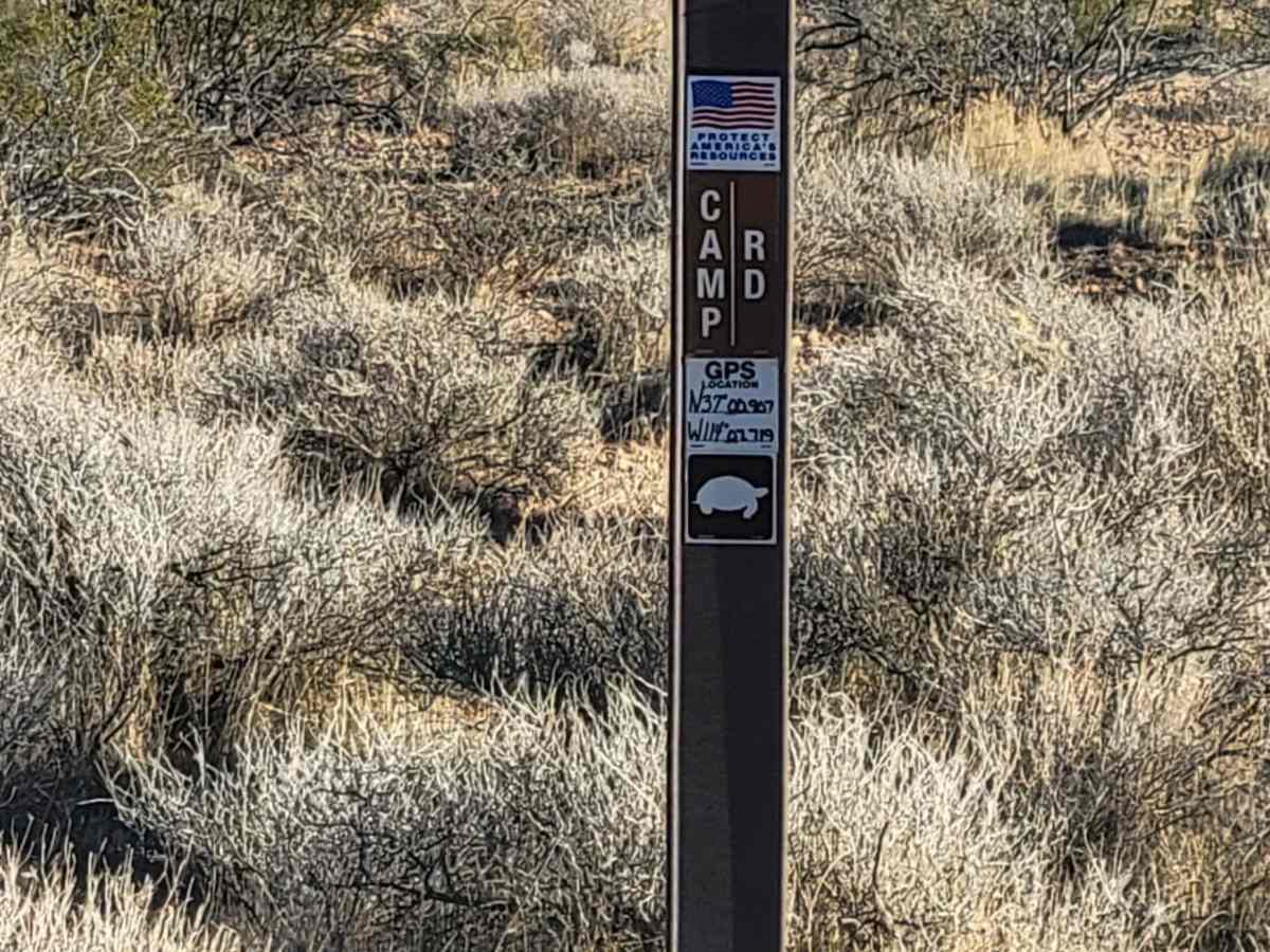 Camp Road photo 4