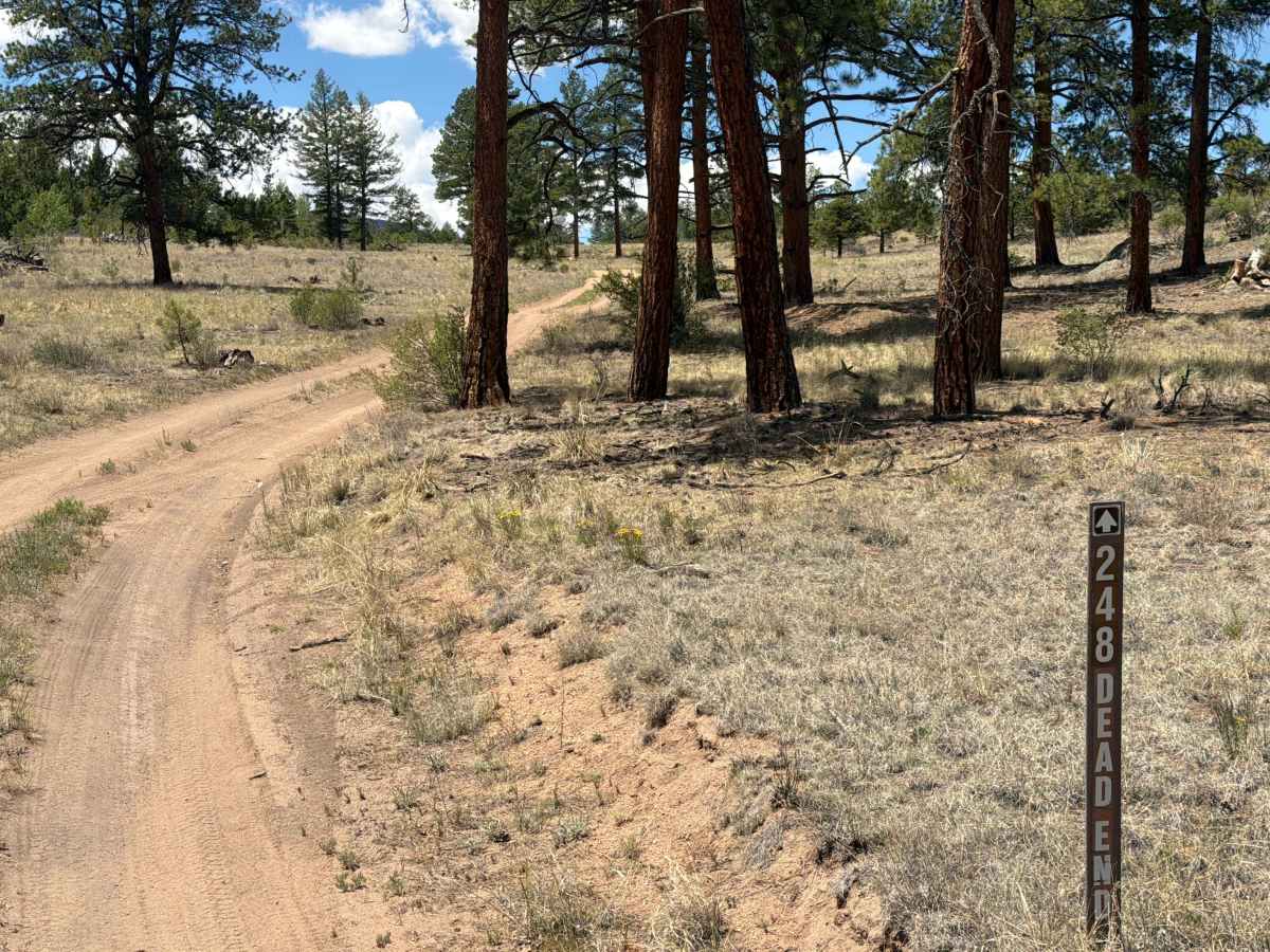 Abel Road - FSR 248 trail photo