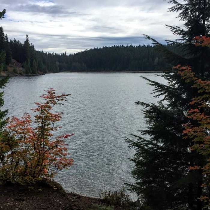 Near Timothy Lake to Frog Lake