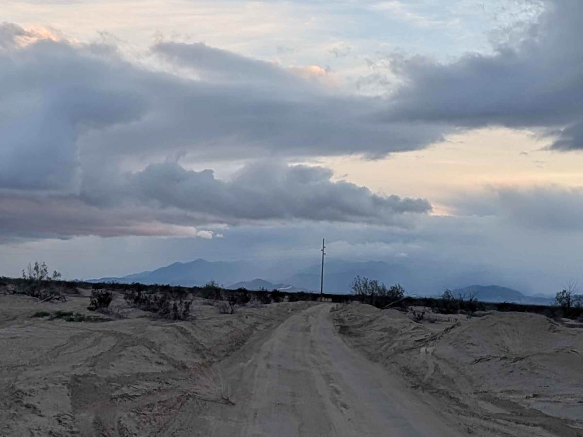 BLM 338 photo 6